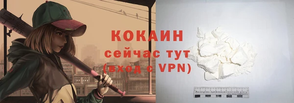 СК Заводоуковск