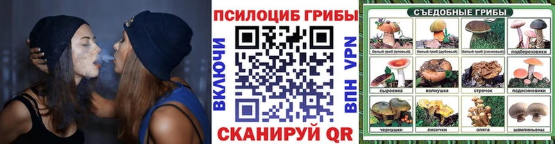 Галлюциногенные грибы Cubensis Купить где Ирбит